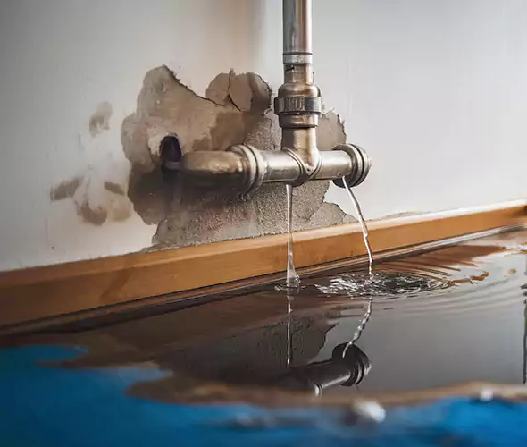 Professional Water Damage Restoration Experts in Highland Park, IL — Fast, Reliable & Certified